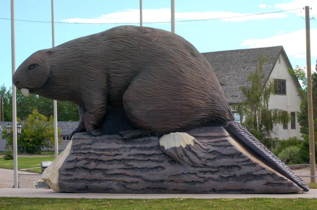 Giant Beaver