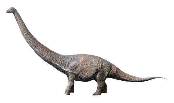 Dreadnoughtus