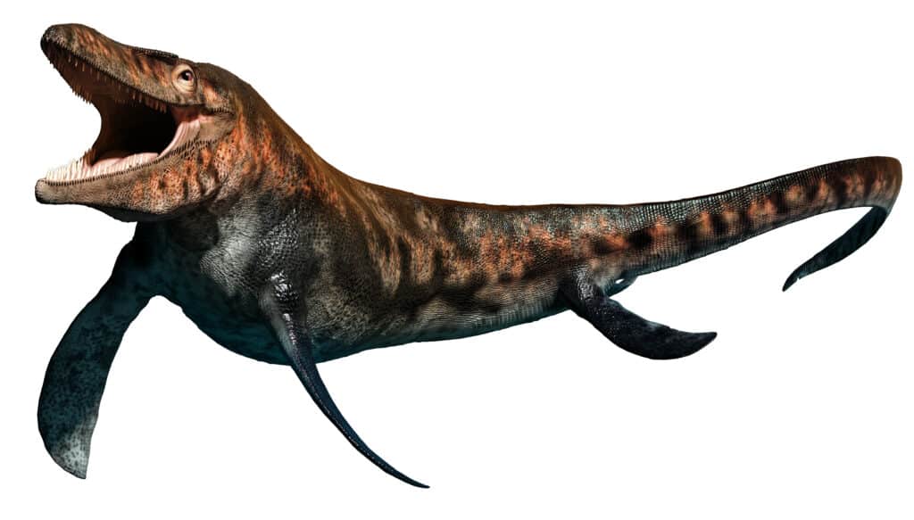 Tylosaurus