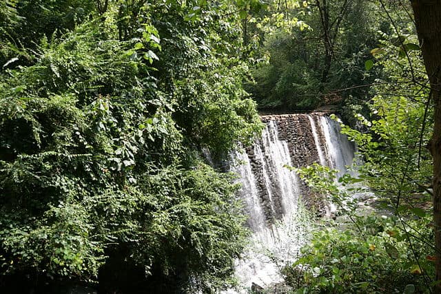 The fall at Roswell Mill in Georgia