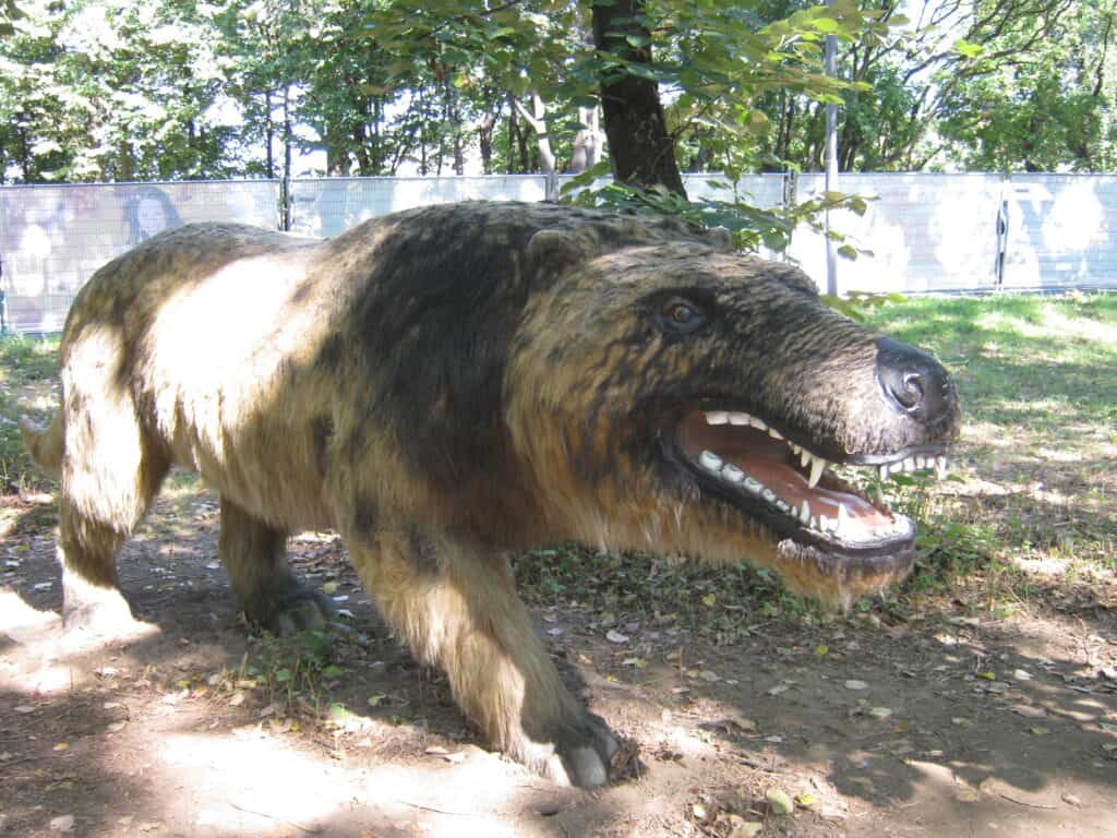 Andrewsarchus model