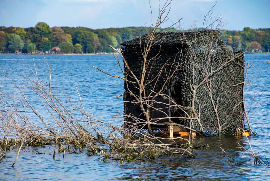 Duck Blind