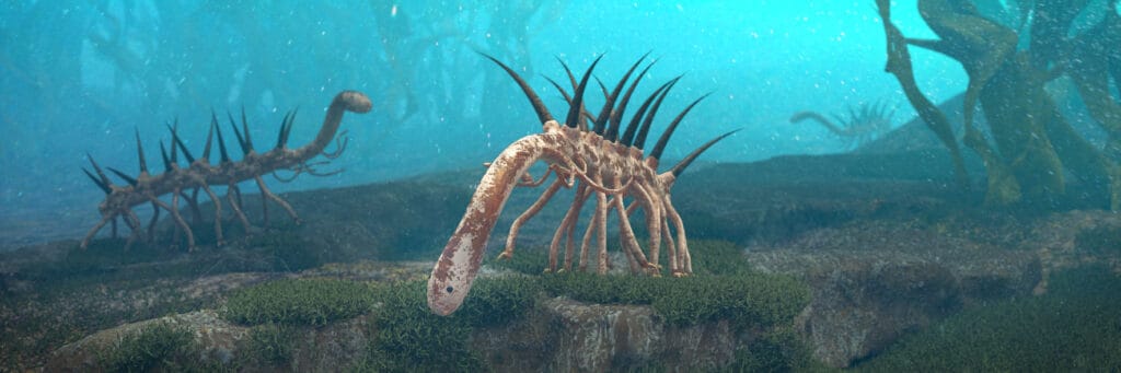 Hallucigenia