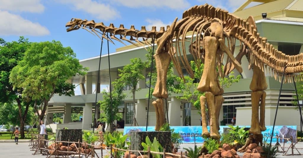 Largest Dinosaurs Ever: Argentinosaurus huinculensis