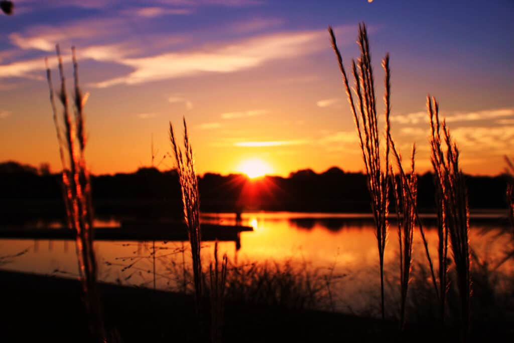 Lake Harriet