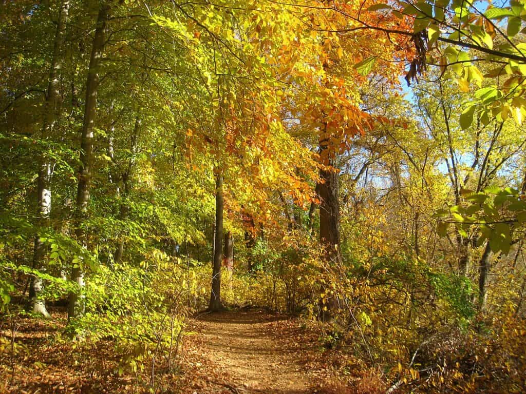 Theodore Roosevelt Island