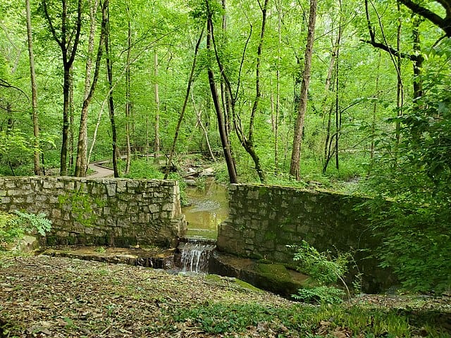 A little manmade waterfall at Wildcat Creek, Dunwoody Nature Center