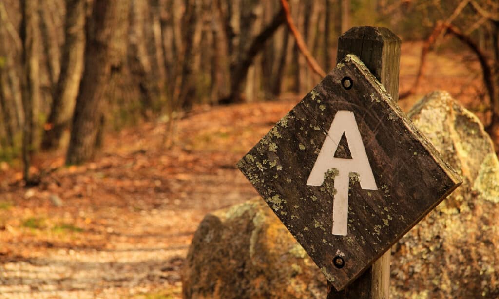 Appalachian Trail, Hiking, Virginia - US State, Blue Ridge Mountains, Blue