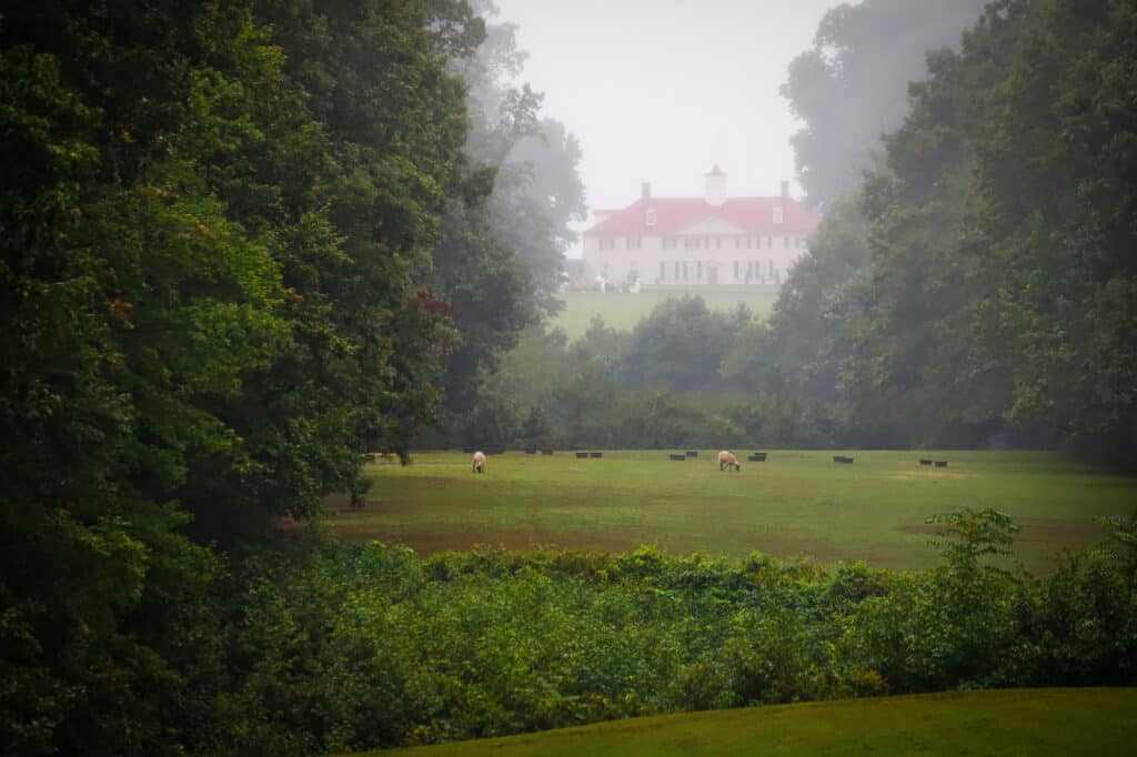 Mount Vernon - Virginia, George Washington, Architecture, Elegance, Environment