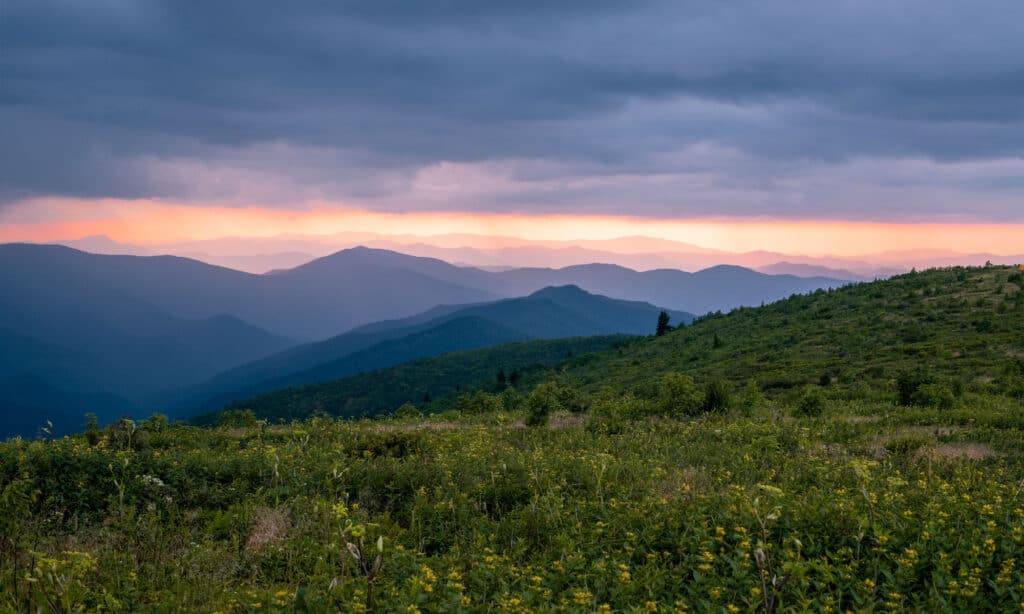 Black Balsam Knob North Carolina