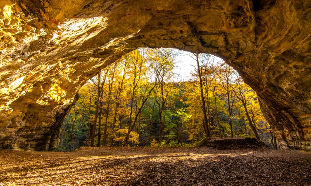 Starved Rock State Park, Adventure, Architecture, Autumn, Autumn Leaf Color