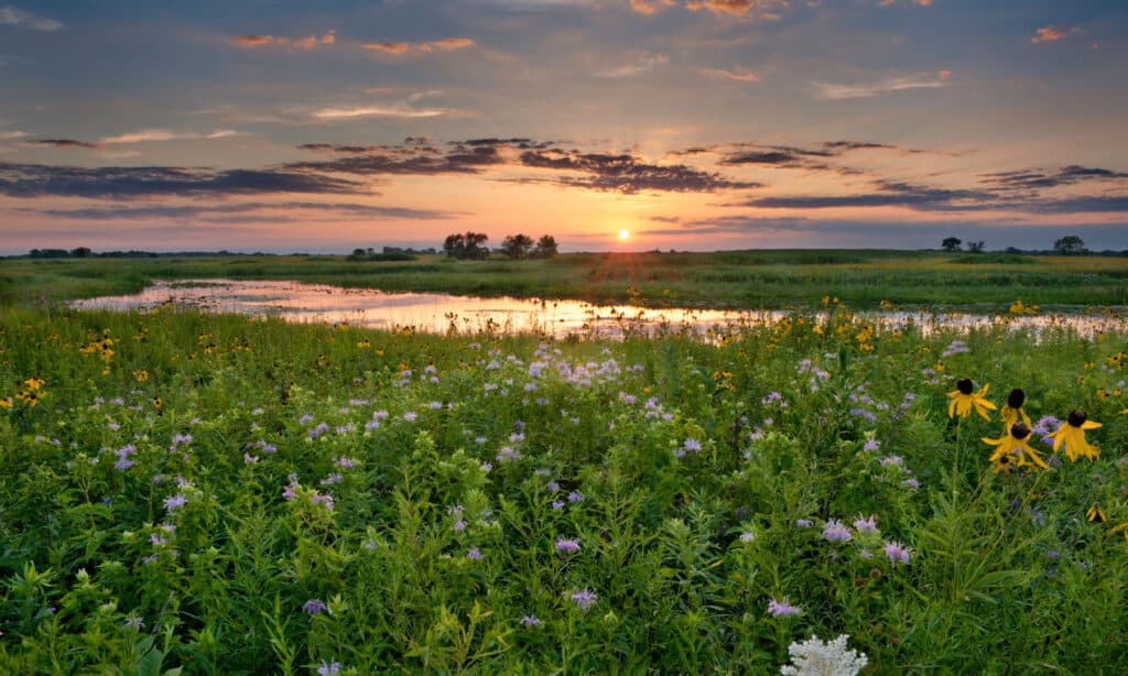 Illinois